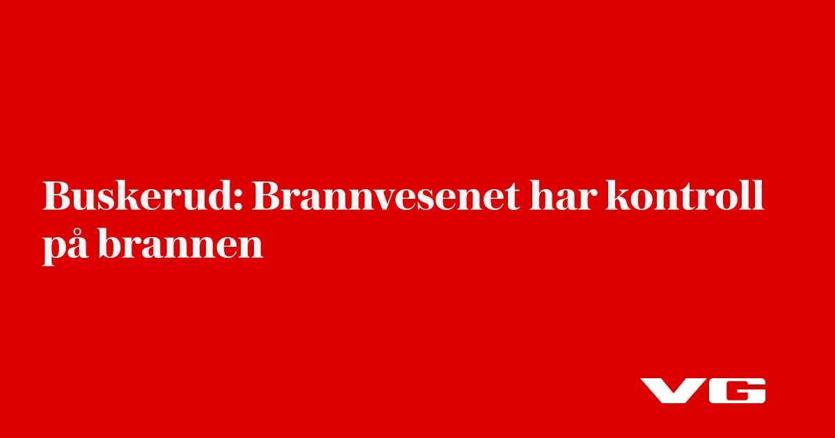 Buskerud: Enebolig i full fyr