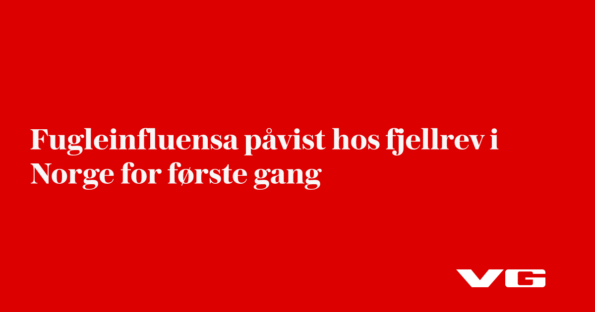 Fugleinfluensa påvist hos fjellrev i Norge for første gang