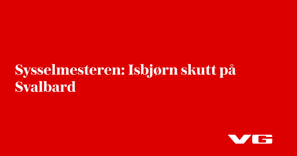Sysselmesteren: Isbjørn skutt på Svalbard