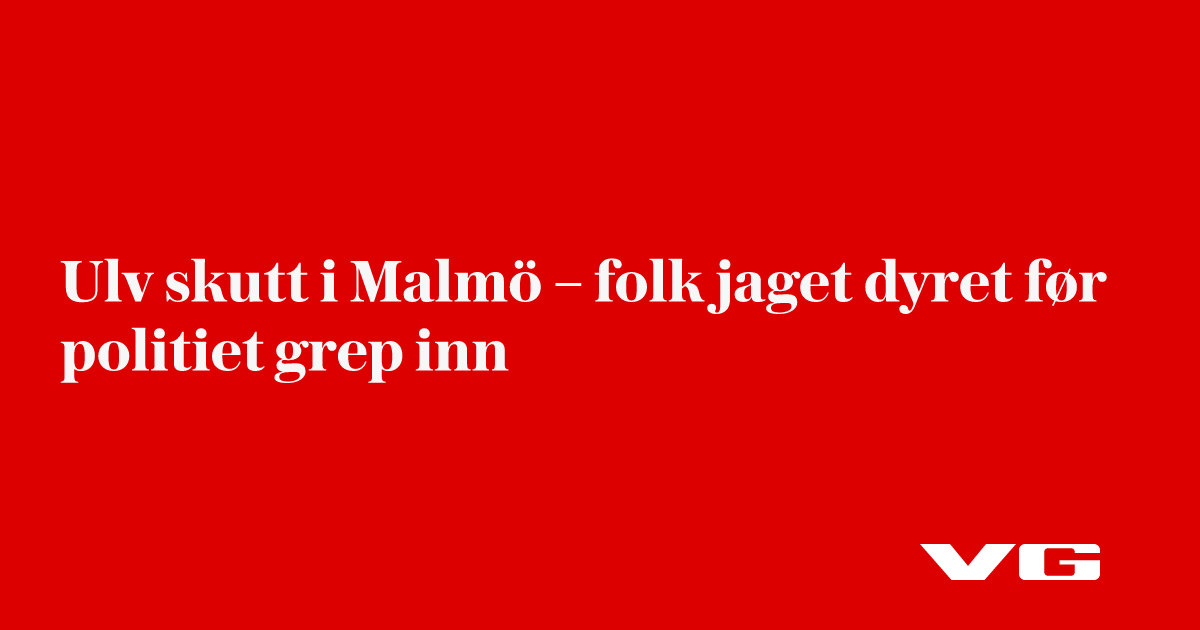Ulv skutt i Malmö – folk jaget dyret før politiet grep inn