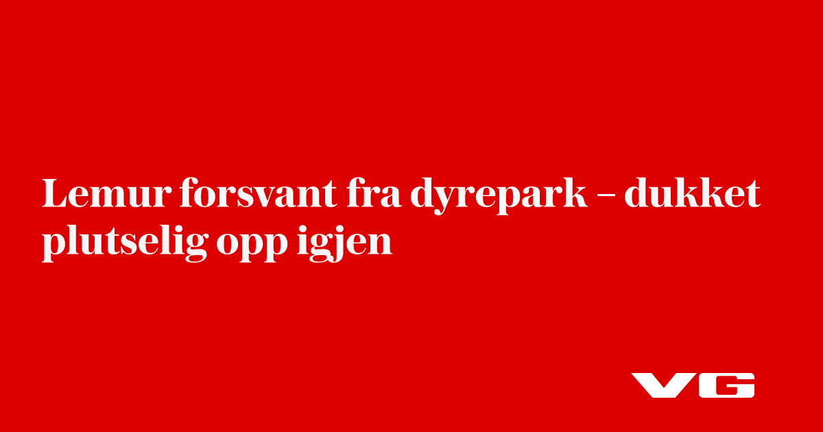 Lemur forsvant fra dyrepark – dukket plutselig opp igjen