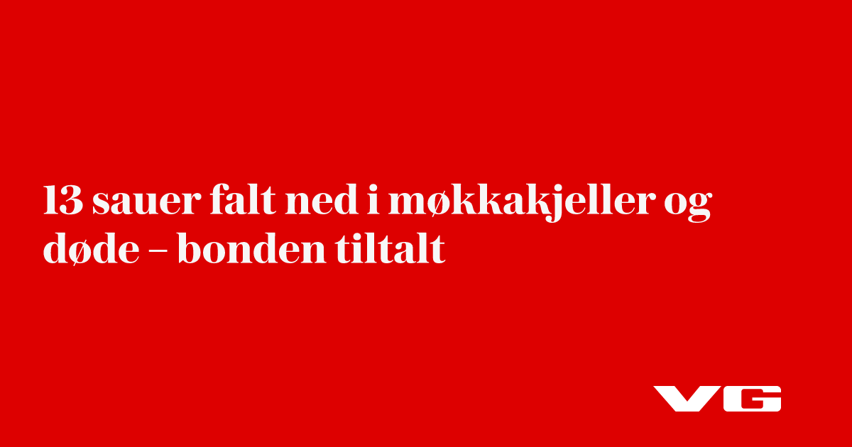 13 sauer falt ned i møkkakjeller og døde – bonden tiltalt